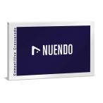 Steinberg старт Inver g/ Nuendo 15 Competitive Crossgrade ( Cross комплектация версия ) (NUENDO/CG COMP)( загрузка версия mail поставка товара оплата при получении не возможно )