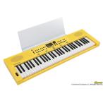 Roland Roland / GOKEYS3-MI (GO:KEYS 3 MINION) ( специальный . поверхность установить MRGKS3/5 комплект!) Mini on Digital Keyboard(YRK)