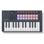 novationno беж .n/ FLkey 2 Mini 25 25 ключ Mini MIDI клавиатура 