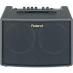 Roland / AC-60 Acoustic Chorus (アコースティックギター用アンプ)(30W+30W ステレオ仕様)(2ch構成/マイク入力あり) ローランド AC60