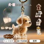 ペット 遺毛 ケース ペット 犬型収納ボックス 猫と犬の毛収納用 カプセルトイ ペンダント キーチェーン ペットひげ・抜け毛収納 ペット 遺毛入れ 思い出保存