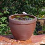 ショッピングアジアンテイスト アジアンテイスト南蛮焼　EW2192（小・40cm）水あふれ防止小穴有＋お好きな水草 ＋メダカ10匹（死着保証無）プレゼント