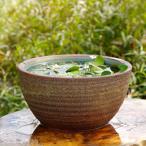  Shigaraki . водяная лилия горшок обжиг в печи . мяч 10 номер ( наружный диаметр 30cm высота 16cm) [ бесплатная доставка ][ прямая поставка от производителя ]