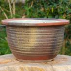  Shigaraki . водяная лилия горшок подпалины тысяч уровень 13 номер ( вода ... предотвращение маленький дыра иметь )( наружный диаметр 41cm высота 25cm) [ бесплатная доставка ][ прямая поставка от производителя ]