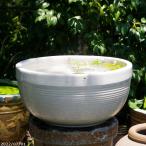  Shigaraki . водяная лилия горшок керамика белый мяч 13 номер ( наружный диаметр 40cm высота 21cm)( вода ... предотвращение маленький дыра иметь ) [ бесплатная доставка ][ прямая поставка от производителя ] _wb