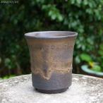 ショッピング陶器 信楽焼 植木鉢 陶器　選べる　金彩　切立　3.5号（外径11cm　高さ11.5cm）　サナサービス