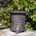 ショッピング陶器 選べる　面取り 金彩 オモト鉢(万年青鉢) 　6号　サナサービス　信楽焼 植木鉢 陶器　