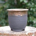 ショッピング植木鉢 【キズ有の物には割引あり】信楽焼 植木鉢 陶器　選べる　金彩大深鉢　5号　サナサービス