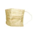 スケ573071　【ディズニーキャラクター】不織布プリーツマスク10枚入り【チップとデール】【アニメ】【映画】【ますく】【衛生用品】【予防】【対策】【外出】…