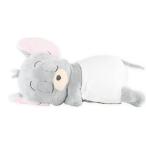 tiTJ-5545328TF [ бесплатная доставка ][ Tom . Jerry ][Tom and Jerry].... чехол для салфеток [TF][ жесткий .-][wa-na-][ аниме ][ покрытие ][ кейс ]...