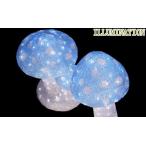 6zak802LEDアクリル【マッシュル