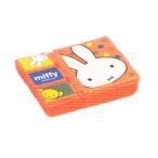 スケ298981【miffy】【ミッフィー】小物ケース【ウサギ】 【ミッフィーちゃん】【ナインチェ・プラウス】【絵本】【アニメ】【ケース】【ミニケース】【小物入…