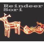 iru101トナカイセット　クリスマス　イルミネーション【２０ 】【送料無料】【クリスマス】【イルミネーション】【電飾】【モチーフ】【大人気】