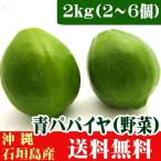 沖縄産　青パパイヤ（野菜）　２ｋｇ（２〜６個）　　送料無料