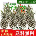  Ishigakijima производство белый здесь сосна 10kg(6~11 шар ) бесплатная доставка 
