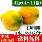 沖縄石垣島産フルーツパパイヤ 石垣珊瑚4kg (4〜11個) 送料無料