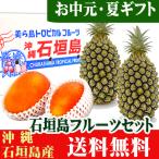 石垣島フルーツ詰め合わせギフト4玉セット(マンゴー2玉・石垣島パイン2玉) 送料無料
