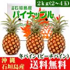  Ishigakijima. зима сосна (pi-chi сосна )2kg2~3 шар бесплатная доставка 