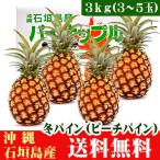  Ishigakijima. зима сосна (pi-chi сосна )3kg3~5 шар бесплатная доставка 