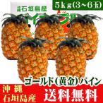 ゴールドパイン５ｋｇ（３〜６玉）沖縄石垣島産　送料無料