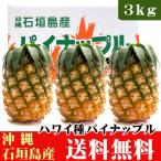  ананас ( Гаваи вид ) Ishigakijima производство 3kg(3~4 шар )