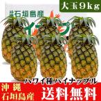 石垣島産パイナップル(ハワイ種) 大玉9kg(5〜7玉) 送料無料