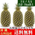  Ishigakijima сосна [ мед яркий большой шар 3 шар ( примерно 3kg)] бесплатная доставка 