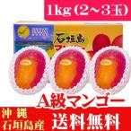 石垣島産完熟アップルマンゴー1kg 2〜3玉 当店最高品質A