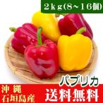  паприка ( овощи ) красный * желтый 2kg 8~16 шт Okinawa Ishigakijima производство бесплатная доставка 
