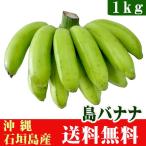 島バナナ1ｋｇ（7〜16本）沖縄石垣島産　送料無料