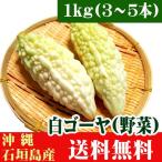 Okinawa префектура Ishigakijima производство белый горький огурец 1kg(3~5шт.@) бесплатная доставка 