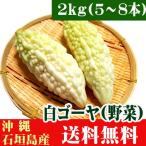  белый горький огурец -2kg(5~8шт.@) Okinawa префектура Ishigakijima производство бесплатная доставка 