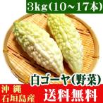  белый горький огурец -3kg(10~17шт.@) Okinawa префектура Ishigakijima производство бесплатная доставка 