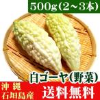  Ishigakijima производство белый горький огурец 500g(2~3шт.@) бесплатная доставка 
