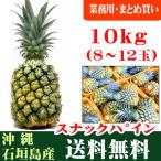 スナックパイン 10kg 8〜12玉 石垣島