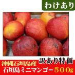  есть перевод! Ishigakijima производство Mini манго 500g