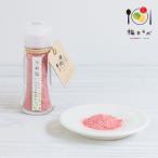  маринованные сливы labo.. соль 26g соль . соль приправа слива 