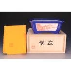 [ Ishii бонсай ] популярный . горшок автор . гора произведение [. гора лазурит . окно . красный . ландшафт .. map вне .. входить уровень длиные ноги person горшок ] вместе коробка вместе ткань есть деликатный ...