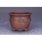 [ Ishii бонсай ] внутри . общий . большой .. выигрыш автор flat рисовое поле прекрасный . произведение [ прекрасный .. грязь вне . отходит гравюра Mai небо дракон map внизу шнур . пара круг горшок ] Tokoname 3.5 номер (10.5cm)