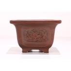 ! прекрасный . праздник!(2)[ Ishii бонсай ] внутри . общий . большой .. выигрыш автор flat рисовое поле прекрасный . произведение [ прекрасный .. грязь дракон скульптура вне . окно входить внизу шнур уровень пара правильный person горшок ] Tokoname 4 номер (12.5cm)