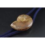  петля Thai окаменелость fire - Anne mo Night /rt-91