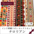 インド刺繍リボン はぎれ セレクト 