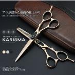美容 ハサミ 2本セット カリスマ 専用ケース付属 カット 梳きバサミ スキ ステンレス 髪 ロング ショート 散髪 子供 大人 KARISUMA