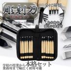 彫刻刀 12本 セット 収納ケース 木彫り MA-271