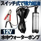 水中ウォーターポンプ 12Vタイプ 小型 水中ポンプ 12L min ケーブル 3ｍ スイッチ式 強力 給油 給水 排油 排水 灯油 HAIPONSU-12