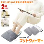 2個セット フットウォーマー USB 給電 あったかグッズ ヒータークッション あんか 冷え性 足元 寒さ対策 オフィス ASHIWARM