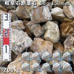  Gifu камень сломан каштан камень 50~150mm 10 пакет комплект / итого примерно 200kg сад блокировка садоводство модный DIY цветок .. камень земля останавливать . двор камень сломан каштан камень блокировка сад 
