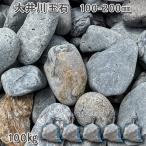  большой . река шар камень 100-200mm 5 пакет комплект итого примерно 100kg сад блокировка садоводство модный DIY цветок . структура .gabi on двор камень природа камень местного производства Ishikawa камень 