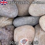  Англия производство гравий камень двор двор камень косметика гравий UK Scottish .bru80-120mm внутри вне 5 пакет комплект итого примерно 100kg юридическое лицо адресован кроме того, частное лицо sama отделение прекращение оплата при получении не возможно час указание не возможно 