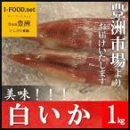 Yahoo! Yahoo!ショッピング(ヤフー ショッピング)白いか イカ いか 豊洲市場よりお届けいたします グルメ ギフト2021　